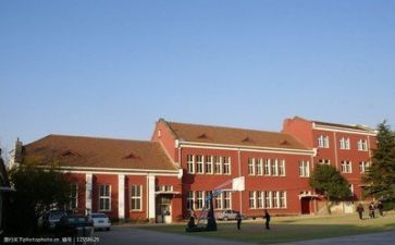 学校心得体会300字8篇