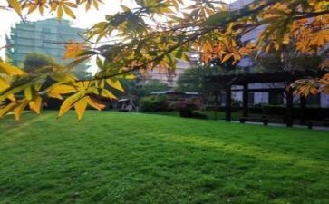 学校安全的工作计划5篇