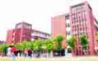 学校教研处工作总结最新5篇