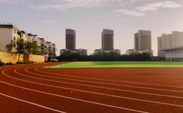 区学校体育工作计划5篇