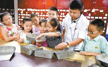 学艺类作文推荐8篇