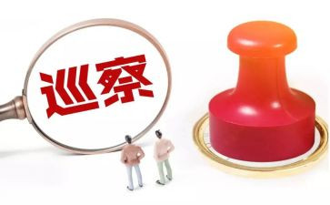 巡察组述职报告7篇