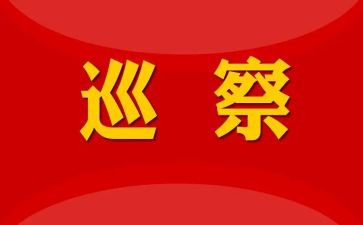 巡察组长述职报告5篇