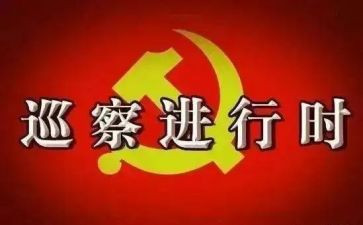 巡察个人述职述廉报告8篇
