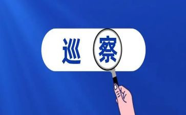 巡察干部述职报告6篇