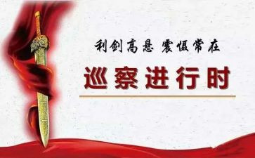 巡察组长述职述廉报告8篇