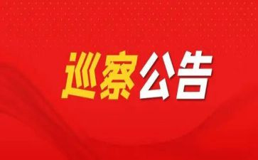 巡察组党支部汇报材料6篇