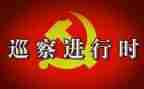 巡察个人述职述廉报告8篇