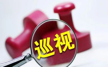 巡视学习心得体会7篇