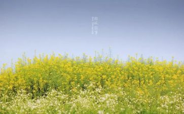 叙事作文500字作文8篇