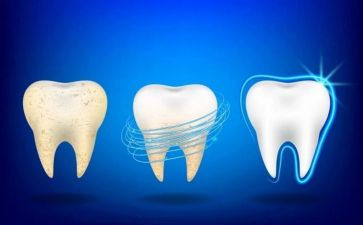 中班牙齿刷白白教案6篇
