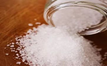 会魔法的盐教案7篇