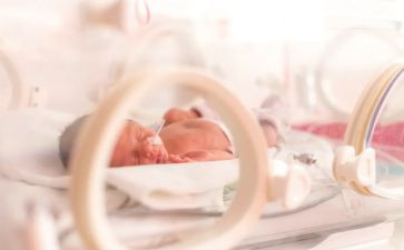 幼儿水果宝宝教案8篇