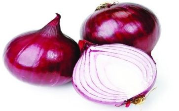 剥洋葱读后感6篇