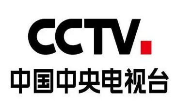 2024央视榜样5心得体会5篇
