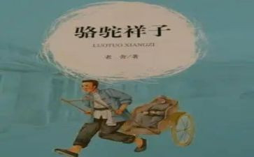 这样子的作文精选6篇