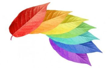 幼儿园小班颜色的家教案7篇