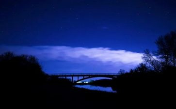 中秋夜作文300字通用6篇