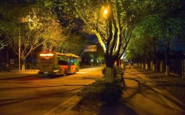 叶圣陶《夜》读后感5篇
