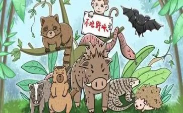 关于拒绝野味的演讲稿8篇