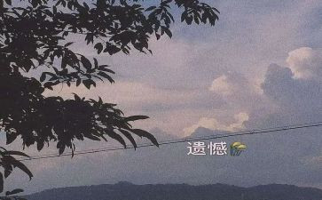有遗憾的作文精选8篇