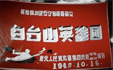 2024战疫英雄事迹5篇