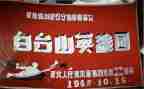 2024战疫英雄事迹5篇