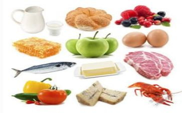 米的营养教案8篇