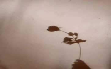 幼儿园有趣的影子教案6篇