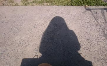 狗和影子的读后感8篇