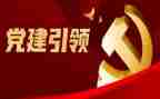 以党建为引领的心得体会8篇