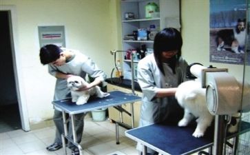 在301医院工作总结参考5篇