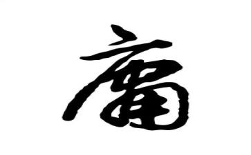 55、中庸读后感模板7篇