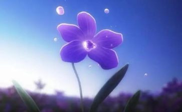 永恒的__作文推荐7篇