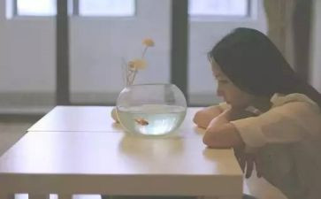 我的优点小作文5篇