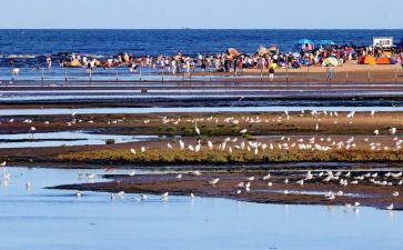 游览的作文推荐5篇