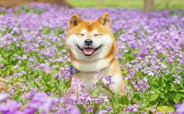 一件我有趣的事500字作文模板5篇