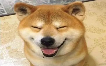 有趣的事作文600字5篇