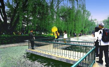 游园活动总结6篇