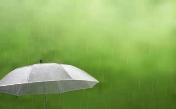 春雨色彩的教案8篇