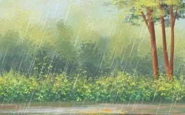 幼儿彩虹雨教案7篇