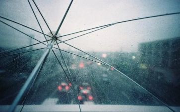 小班识字雨的教案6篇