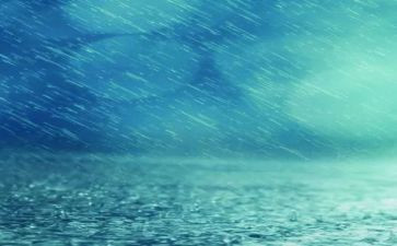 雨人的读后感7篇