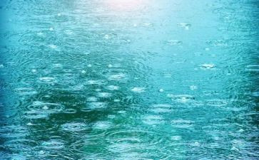 雨的作文200字优质8篇