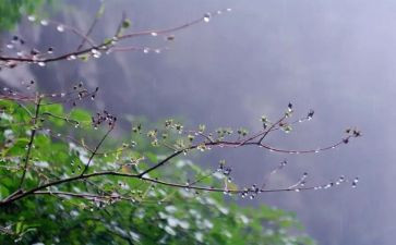 凉爽的雨作文通用6篇