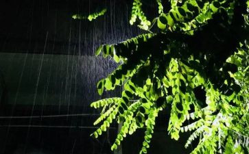 中班语言雨教案及反思5篇