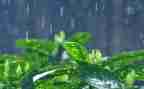 下雨啦教案模板8篇