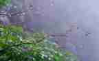 汉字雨的教案最新6篇
