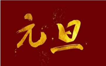 小学元旦节作文300字8篇