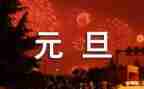 小学元旦主题班会活动方案5篇